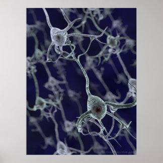 Neural Network Poster
