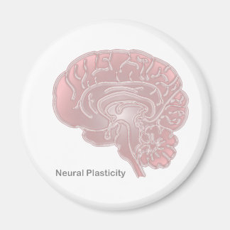 Neural Plasticity Magnet