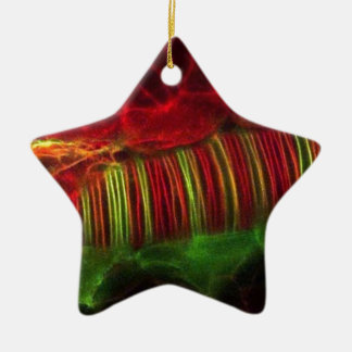 Neural tube ceramic tree decoration