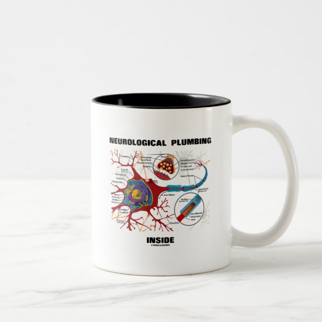 Neurological Plumbing Inside (Neuron / Synapse) Two-Tone Coffee Mug (Right)