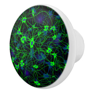Neuron City Knob