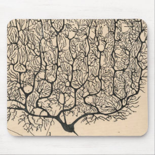 Neuron Drawing By Santiago Ramón Y Cajal Mouse Pad