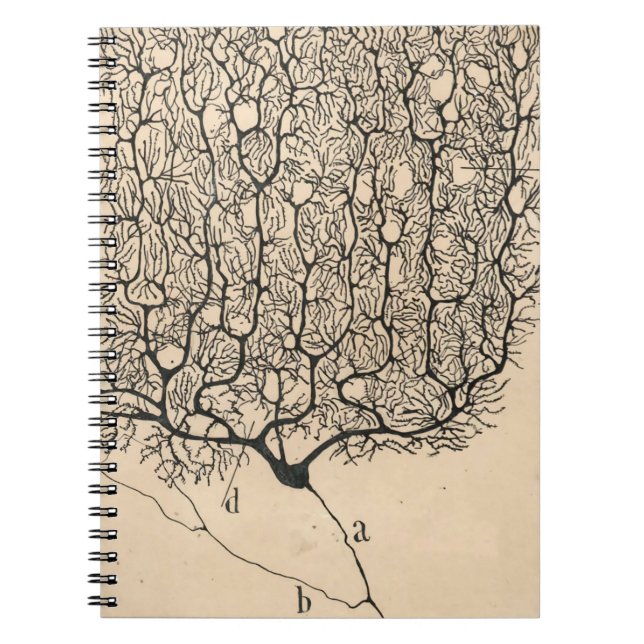 Neuron Drawing By Santiago Ramón Y Cajal Notebook (Front)