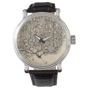 Neuron Drawing By Santiago Ramón Y Cajal Watch