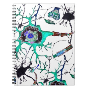 Neuron! Notebook