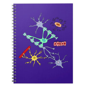 Neurons And Glia Notebook