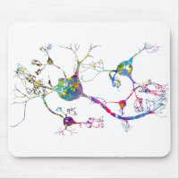 Neurons and nervous system
