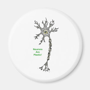 Neurons Are Plastic! Magnet