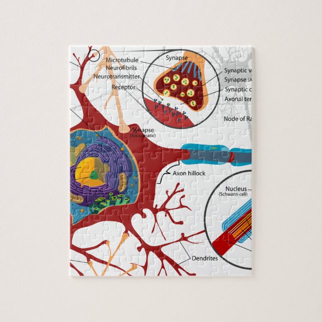 Neurons Nerve Style Jigsaw Puzzle (Vertical)