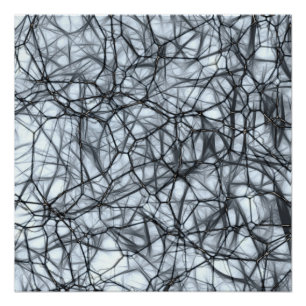 Neurons Poster