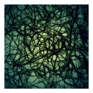Neurons Poster