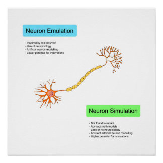 Neurons Poster