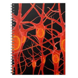 Neuronsneural,3d,anatomy,axon,bio,biological,biolo Notebook