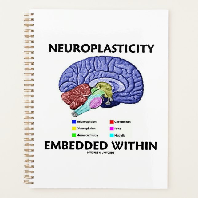 Neuroplasticity Embedded Within Brain Anatomy Planner (Front)