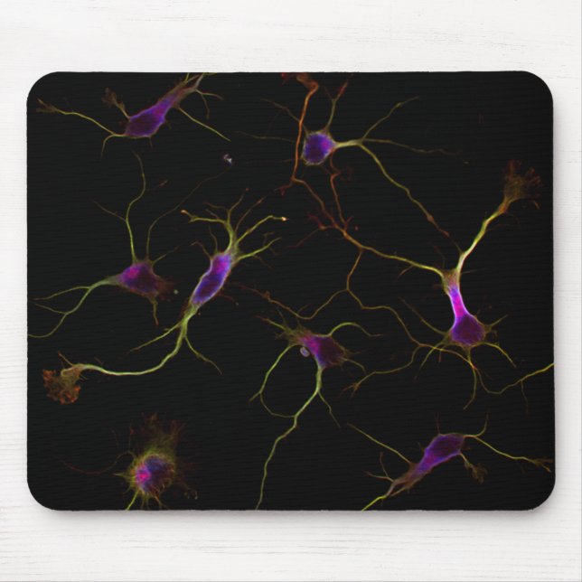 NeuroRootsPad Mouse Pad (Front)