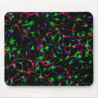 Neuroscience mouse pad