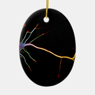 Neuroscience, neuron, science ceramic ornament