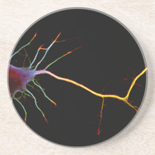 Neuroscience, neuron, science coaster