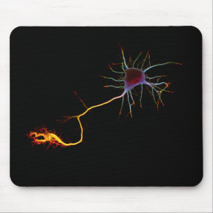 Neuroscience, neuron, science mouse pad