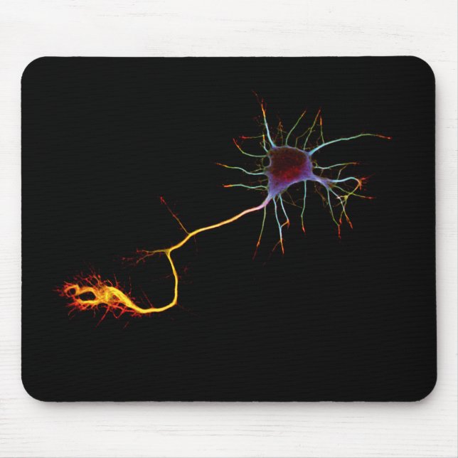 Neuroscience, neuron, science mouse pad (Front)