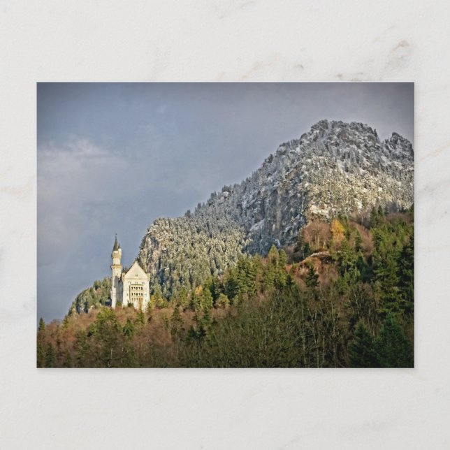 Neuschwanstein Castle - Germany - Postcard (Front)