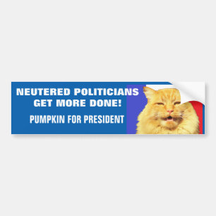 Neutered Politicians Get More Done - Pumpkin Bumper Sticker