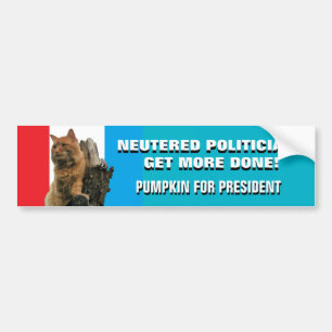 Neutered Politicians Get More Done Vote Pumpkin Bumper Sticker