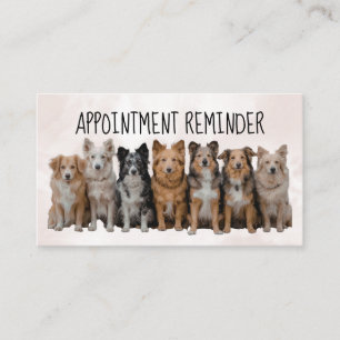 Neutral Dog Walker / Pet Sitter Appointment Card