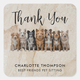 Neutral Dog Walker / Pet Sitter Thank You Sticker