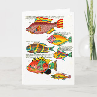 Neutral Fish and Friends Holiday Card