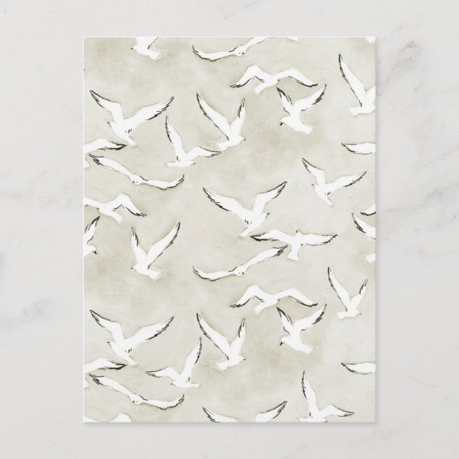 Neutral Seagull Bird Ocean Card. Postcard (Front)