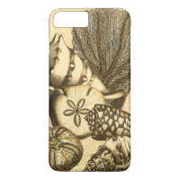Neutral Shells and Coral Collection