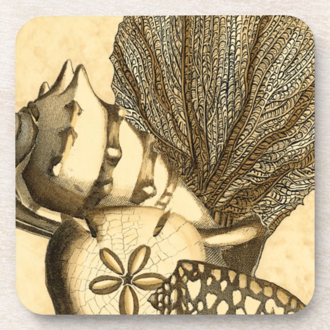 Neutral Shells and Coral Collection Coaster (Front)