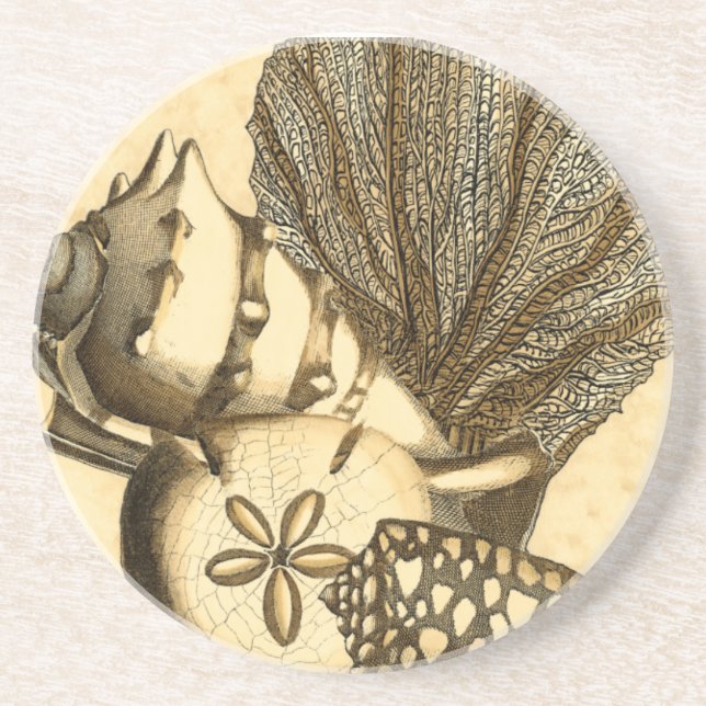 Neutral Shells and Coral Collection Coaster (Front)
