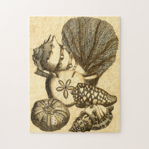 Neutral Shells and Coral Collection Jigsaw Puzzle