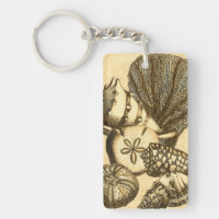 Neutral Shells and Coral Collection