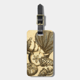 Neutral Shells and Coral Collection Luggage Tag