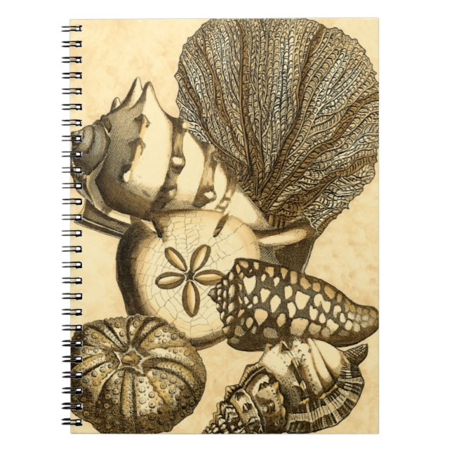 Neutral Shells and Coral Collection Notebook (Front)
