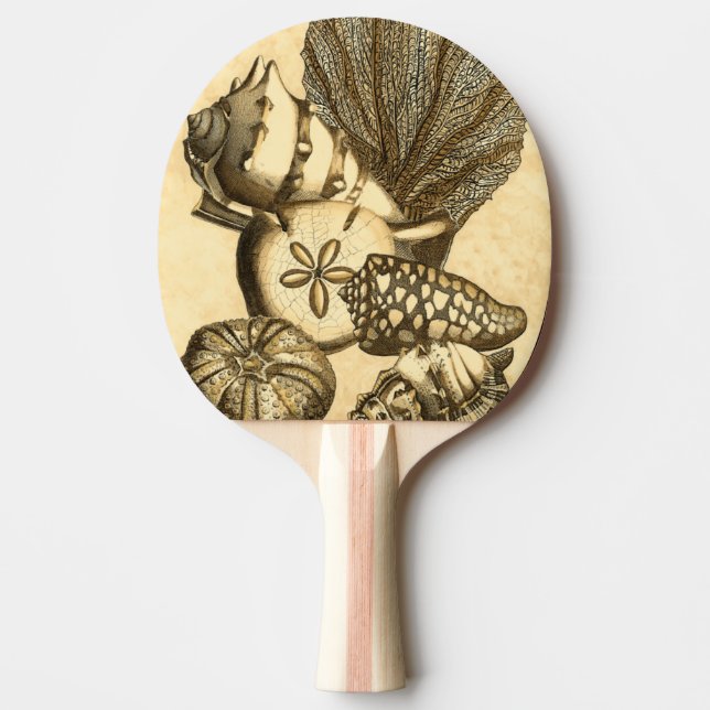 Neutral Shells and Coral Collection Ping Pong Paddle (Front)