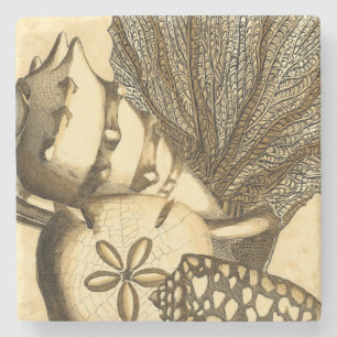 Neutral Shells and Coral Collection Stone Coaster