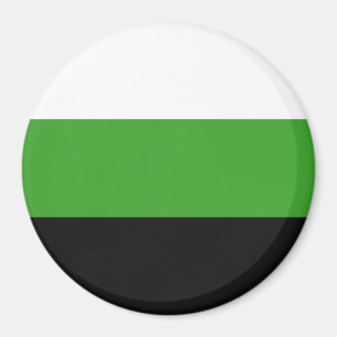 Neutrois Pride Flag Magnet