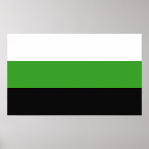 Neutrois Pride Poster