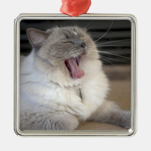 Neva Masquerade cat yawning Metal Tree Decoration