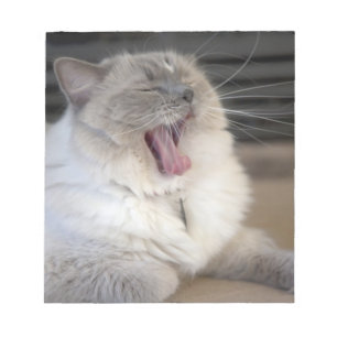 Neva Masquerade cat yawning Notepad