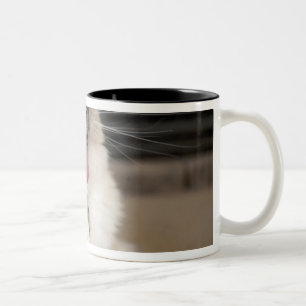 Neva Masquerade cat yawning Two-Tone Coffee Mug