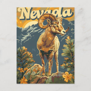 Nevada Bighorn Sheep Vintage Postcard
