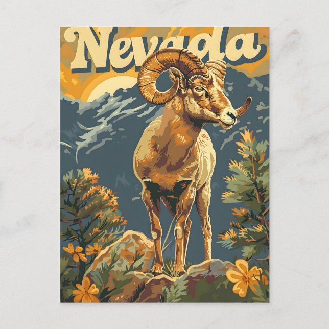 Nevada Bighorn Sheep Vintage Postcard (Front)