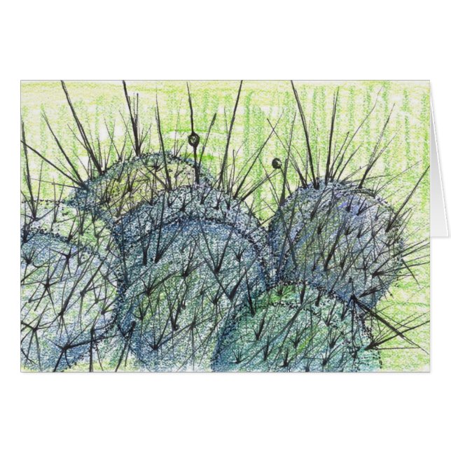 Nevada Desert Cactus Plant Drawing (Front Horizontal)