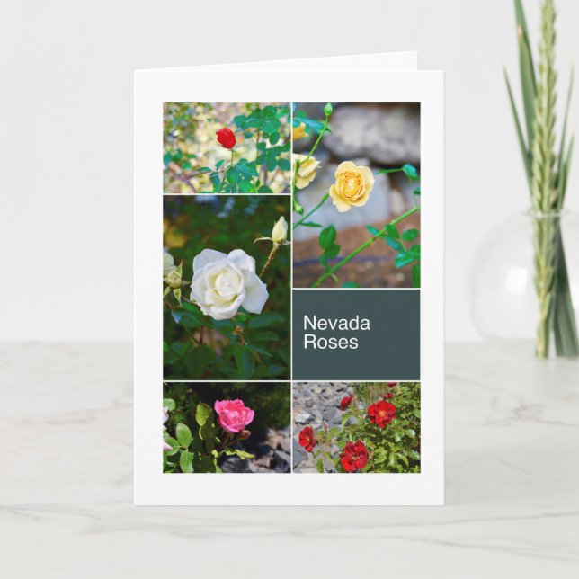 Nevada Roses in Reno Parks photo collage Card (Front)