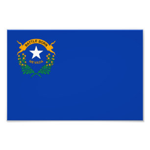 Nevada State Flag Photo Print